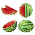 A set of colorful watermelons, a whole watermelon, half a watermelon and sliced watermelon pieces. Realistic fruit illustration Royalty Free Stock Photo