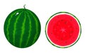 Set of colorful whole and half of juice watermelon isolated on white background. Fresh cartoon berries. Vector illustration for