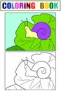 Set of coloring and color picture. Cheerful snail on a leaf of grass.