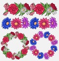 Set of coloring flower brushes and frames. Royalty Free Stock Photo