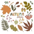 Set of colourful autumn elements for your design, made of leaves and berries. Isolated on a white background. Royalty Free Stock Photo