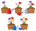 Set of colourful flowers in pots