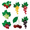 Set of colourful simple vector garden berries