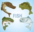 Set of commercial fish on a blue background