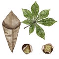 Set for the composition of roasted chestnuts. Chestnut leaf and paper bag. Watercolor illustration. Royalty Free Stock Photo