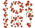 A set of compositions from farm cherries on a twig. Round frame, seamless border of tomatoes. Digital illustration on a white