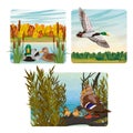 Set of compositions with mallard ducks in different environments and seasons.