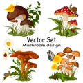 Set of compositions with mushrooms. Royalty Free Stock Photo