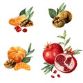 Set of compositions with watercolor garnets, mandarines, walnuts, slice, seeds and greenery. Collection of patterns with tropical