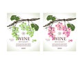 Set of conceptual labels for white and rose wine