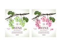 Set of conceptual labels for white and rose wine Royalty Free Stock Photo