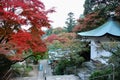 stairs lead up to a building with colorful trees in the background Royalty Free Stock Photo