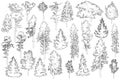 Set of coniferous and deciduous trees for architecture and landscape design, line drawing, contour. Vector illustration Royalty Free Stock Photo