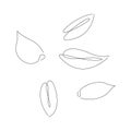 Set with continuous line wheat seeds, grain crop. Vector line art. Perfect for logo, packaging design, icon