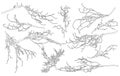 Set of contour bare branches of deciduous tree for architecture and landscape design. Vector illustration Royalty Free Stock Photo