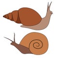 Set of contour colored snails of various shapes. Objects are separate from the background. Simple cartoon vector image Royalty Free Stock Photo