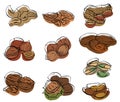 Set of contour drawings of various types of nuts with colored spots