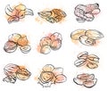 Set of contour drawings of various types of nuts with watercolor splashes. Objects separate from the background