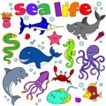 Set of  illustrations with marine life, funny cartoon animals  on a white background Royalty Free Stock Photo