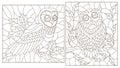 Contour set with illustrations with owls, dark contours on white background