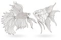 Contour set with illustrations of stained glass Windows with aquarium fish, angelfish and Cockerel fish , dark contours on white