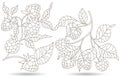 Contour set with illustrations in the style of stained glass with raspberry branches isolated on a white background
