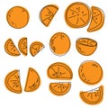 Set of contour oranges doodle on a color spot, orange juicy citrus fruits whole, halves and slices for design Royalty Free Stock Photo