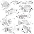 Set of contour silhouettes of fish. Vector illustration