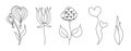 Set of contour silhouettes of flowers for coloring books, scrapbooking, decoration and creative design. Flat style