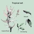 Set of contour vector flowers. Hand drawn branches and leaves of tropical plants. Monochrome floral pattern. Heliconia psittacorum