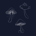 Set of contours of magic mushrooms on a dark background