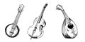 Set of contrabass, mandoline, banjo musical instrument vector illustration isolated. Orchestra stringed instruments ink
