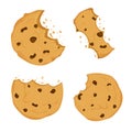 Set of Cookies with chocolate crisps bitten, broken, cookie crumbs in cartoon flat style isolated on white background
