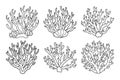 Set of coral reefs or seaweeds, underwater plants. Set of sea coral icons. Sketch, illustration. Royalty Free Stock Photo