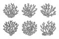 Set of coral reefs or seaweeds, underwater plants. Set of sea coral icons. Sketch, illustration. Royalty Free Stock Photo