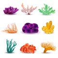 Set of corals on a white background