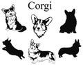 Set of corgi. Collection of pedigree dogs. Black and white illustration of a dog corgi. Vector drawing of a pet. Tattoo. Royalty Free Stock Photo