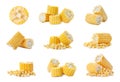 Set of corn cob pieces on white background Royalty Free Stock Photo