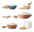 Set with corn starch and kernels Royalty Free Stock Photo