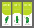 Set of vertical narrow banners with vegetable Royalty Free Stock Photo