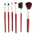 Set of cosmetic brushes isolated Royalty Free Stock Photo