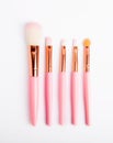 A set of cosmetic brushes. Makeup brushes. Royalty Free Stock Photo