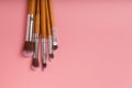 A set of cosmetic brushes. Makeup brushes. Royalty Free Stock Photo