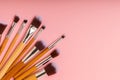 A set of cosmetic brushes. Makeup brushes. Royalty Free Stock Photo