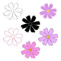 Set of cosmos flower branch vector simple illustration isolated on white background. Black outline hand drawn sketch and Royalty Free Stock Photo