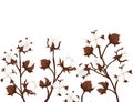 Set of cotton flower branch vector illustration isolated on white background Royalty Free Stock Photo