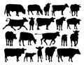 Set of cows and bulls silhouettes. Royalty Free Stock Photo