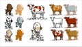 A set of cows. Color illustration of icons logos. Royalty Free Stock Photo