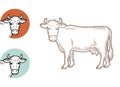 Set of cows. Farm animal. Hand drawn sketch. Vintage style. Color vector illustration Royalty Free Stock Photo