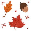 Set of cozy autumn symbols. Cute acorn, fall leaves of maple and other trees. Hygge isolated illustrations with decorative hearts Royalty Free Stock Photo